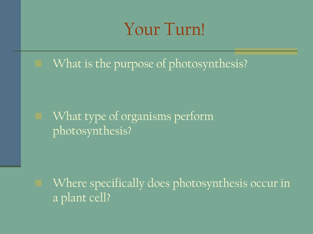 Photosynthesis cell respiration ppt download