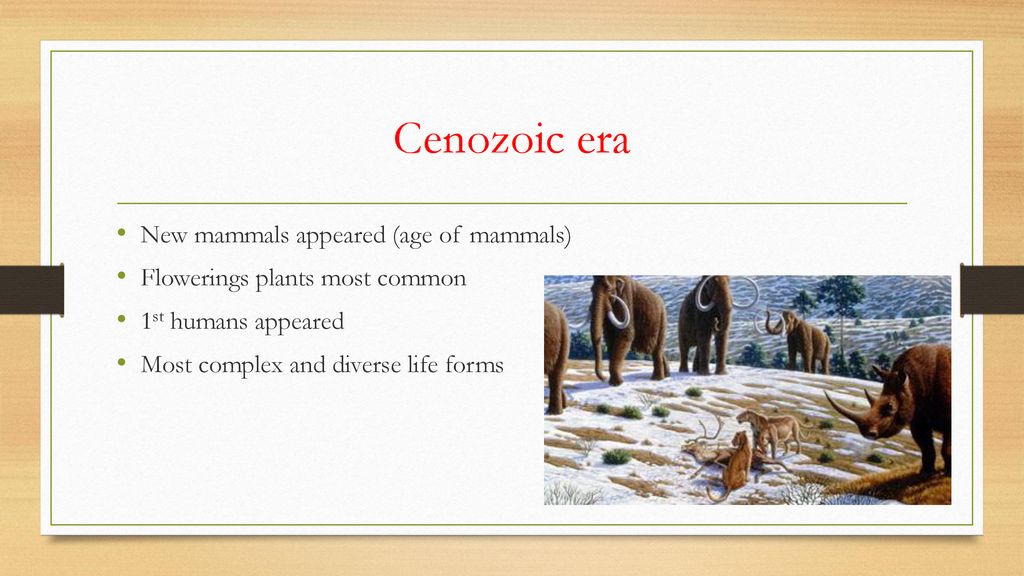 Geologic Timescale and Eras - ppt download