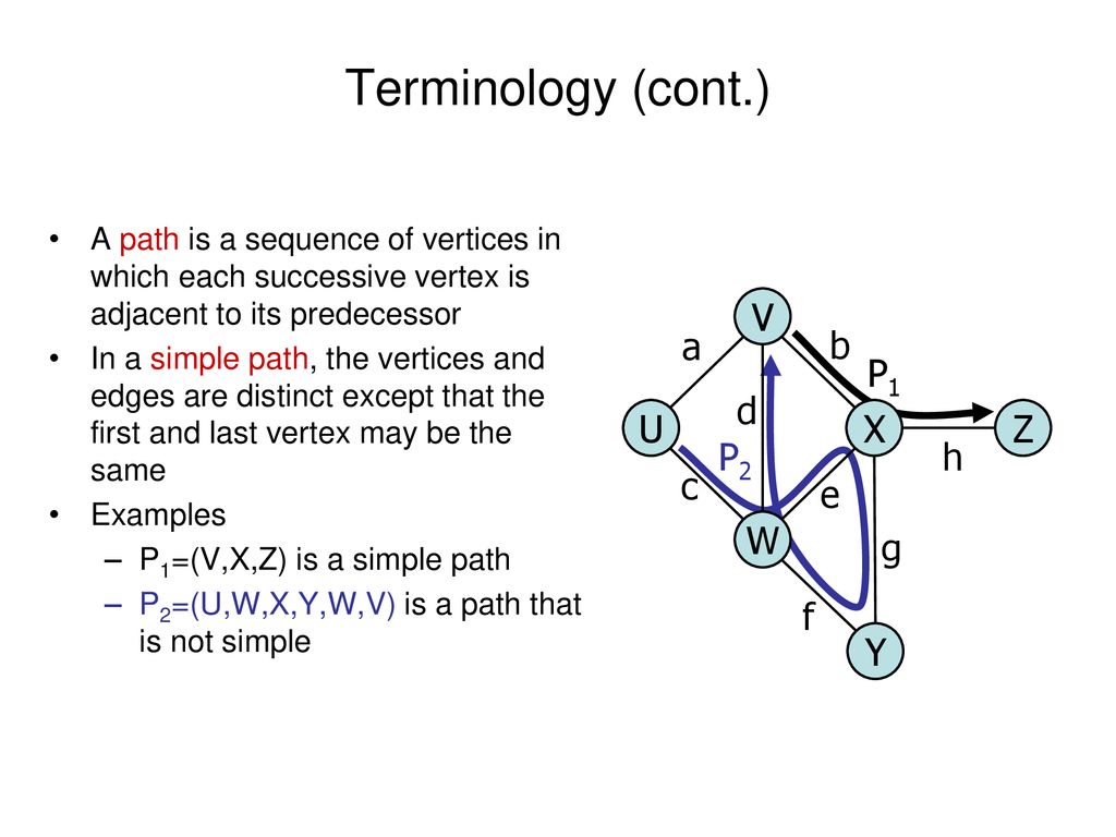 Elementary Graph Algorithms Ppt Download