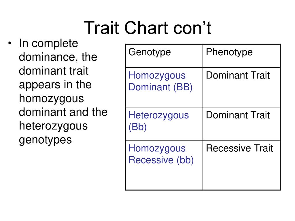 genotypes of dominant traits