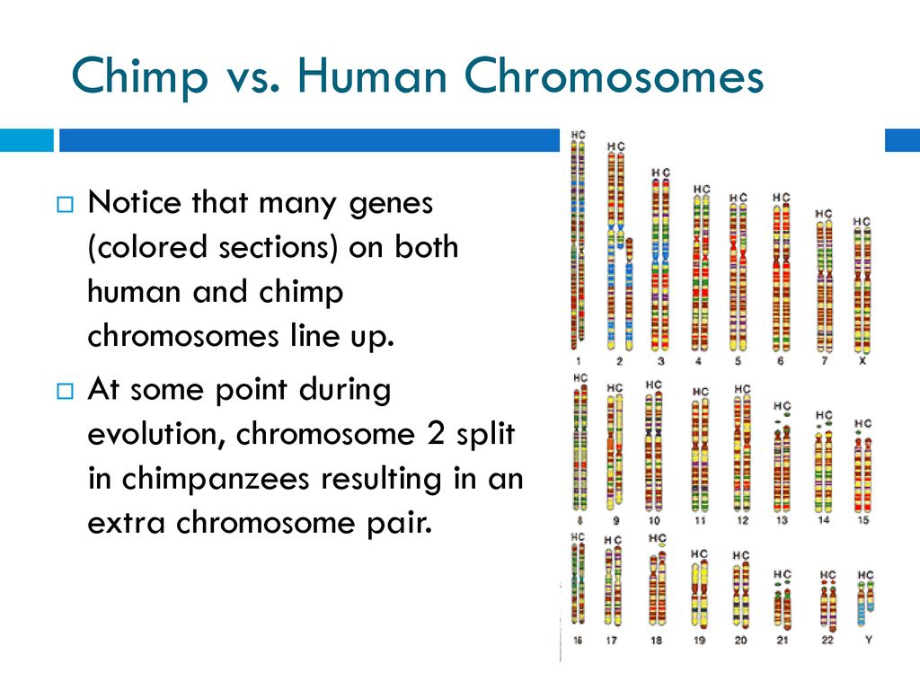 Taxonomy Introduction. - ppt download