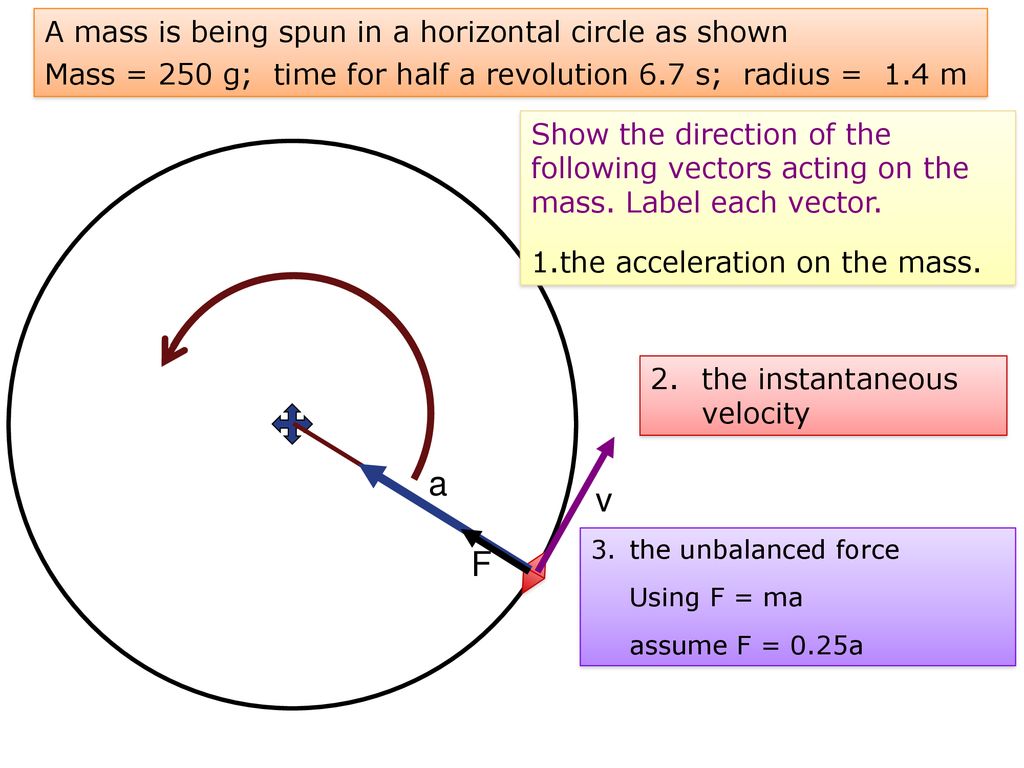 a v F A mass is being spun in a horizontal circle as shown