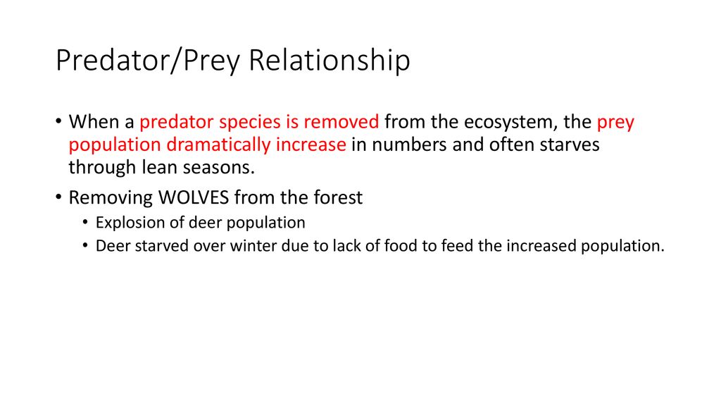 Predator & Prey Competition Relationships Biology Diagrams