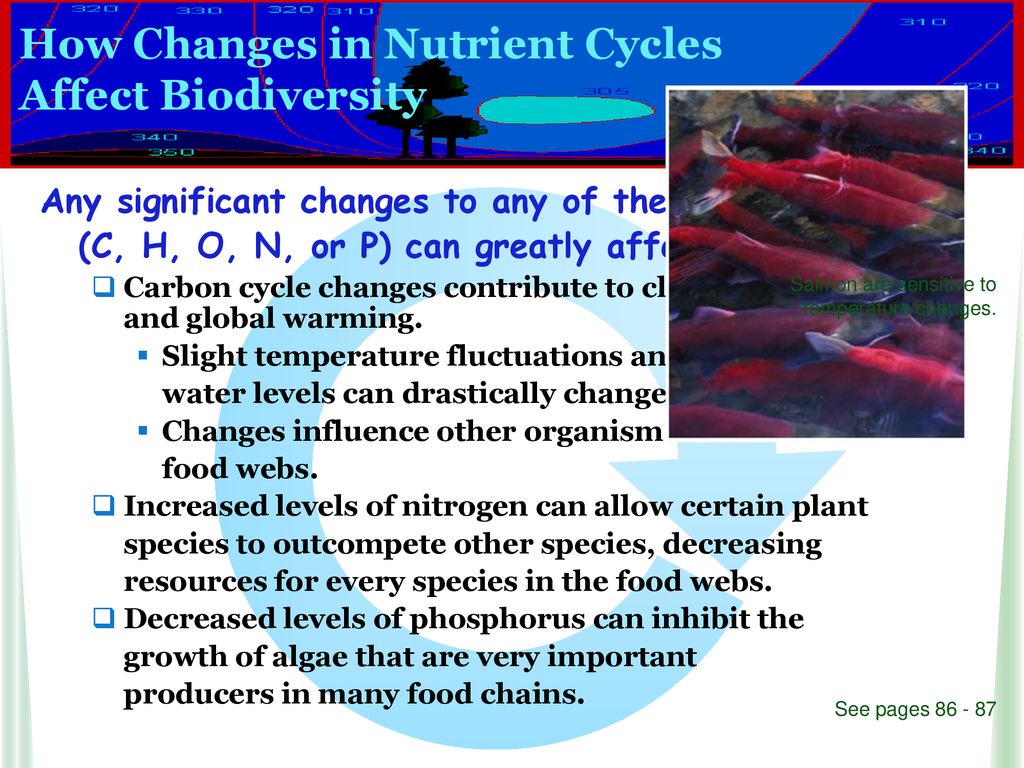 Nutrient Cycles: The Nitrogen Cycle Biology Diagrams
