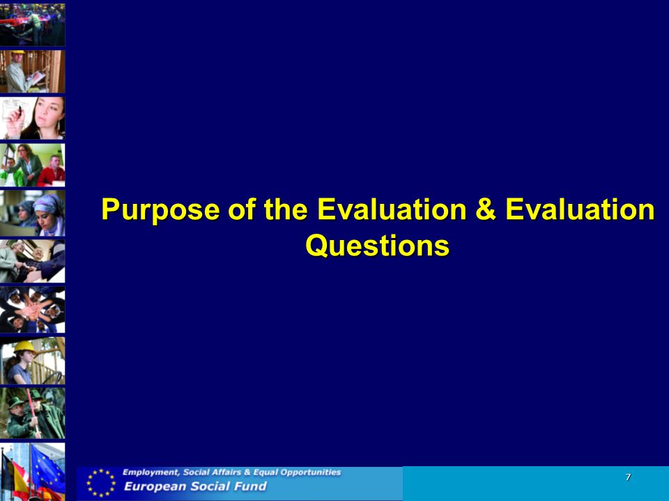 Purpose of the Evaluation & Evaluation Questions