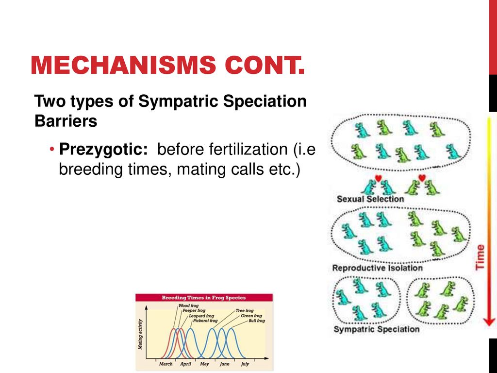 Mechanisms Cont. Two types of Sympatric Speciation Barriers
