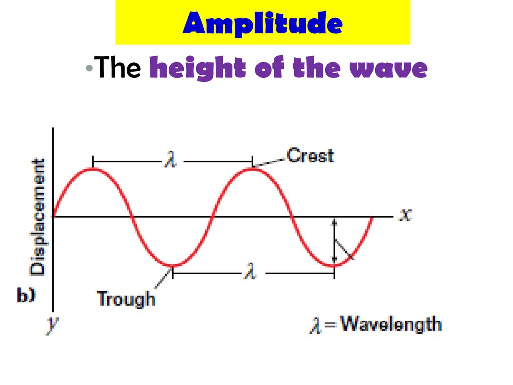 Amplitude The height of the wave