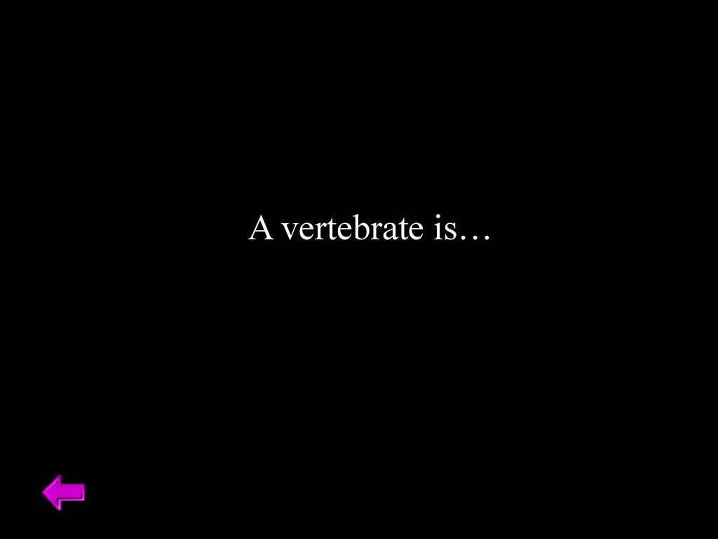 A vertebrate is… Category