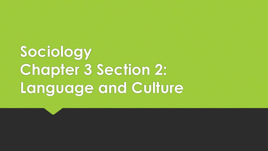 Sociology Chapter 3 Section 2: Language and Culture