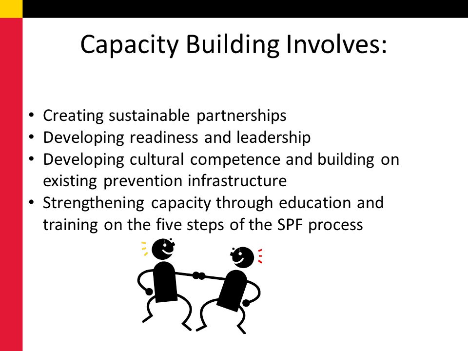 Capacity Building Involves: