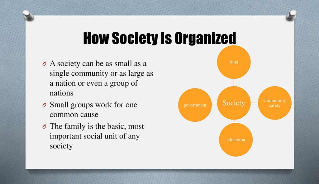how society is organized essay