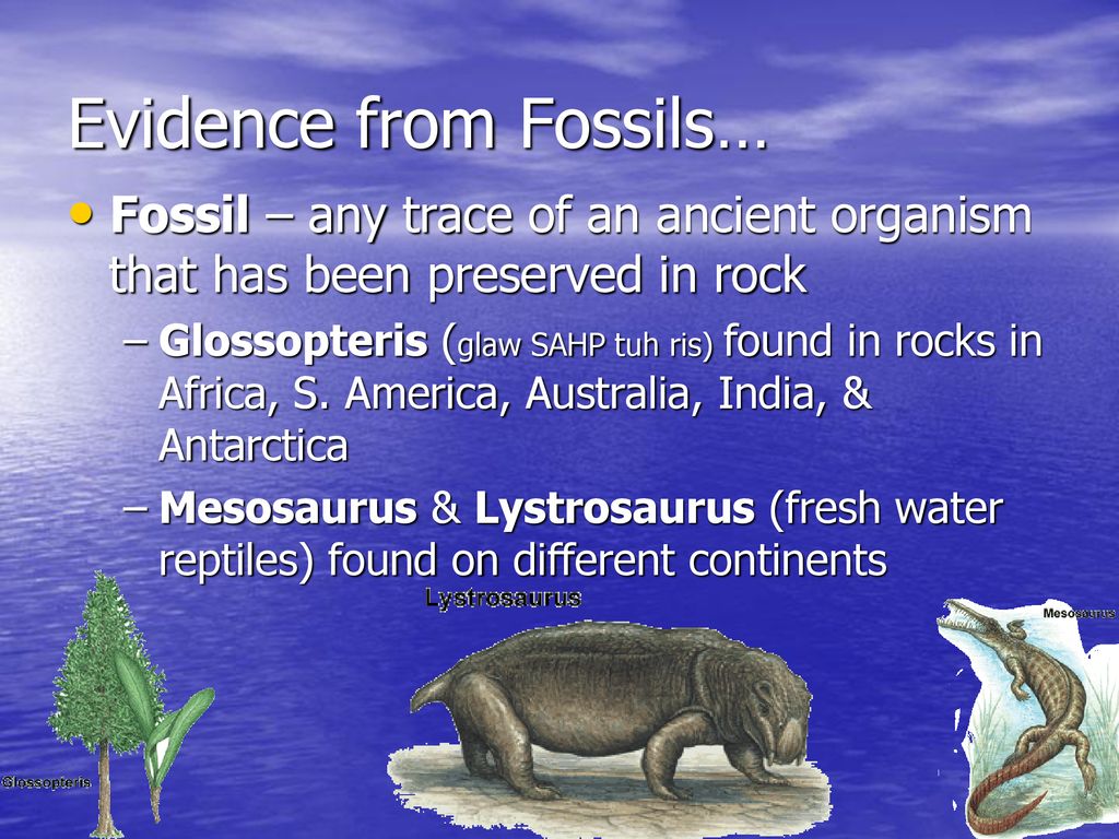 Continental Drift. ppt download
