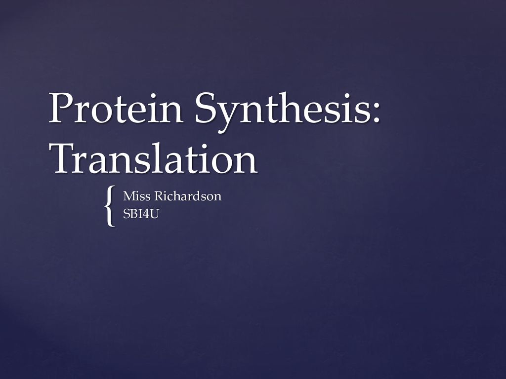 Protein Synthesis And Genetic Code Sbi4u Resource Website