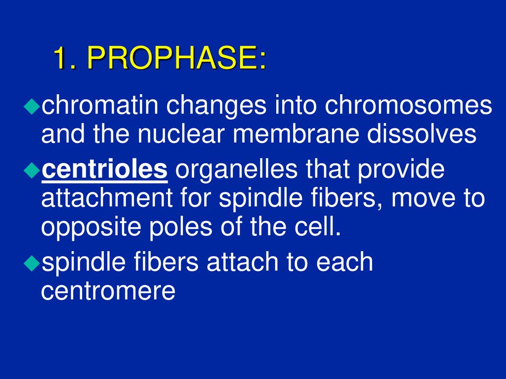 Cells, Chromosomes and DNA Biology Diagrams