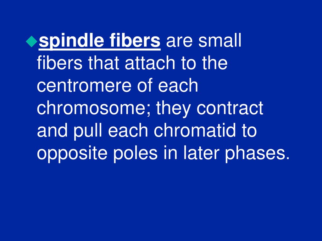 Cells, Chromosomes and DNA Biology Diagrams