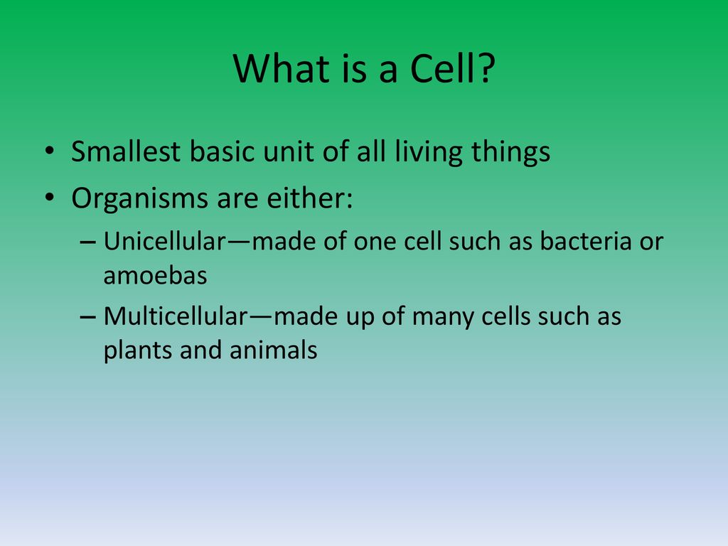 the-cell-theory-obj-identify-the-3-parts-of-the-cell-theory-ppt-download