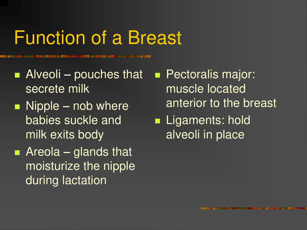 Breast, Definition,Anatomy,Structure,Functions