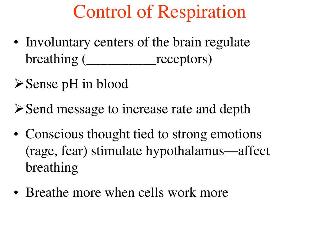 The Respiratory System - ppt download