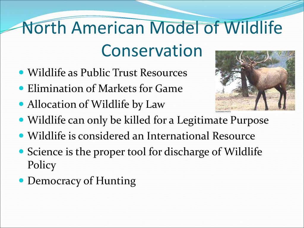 North American Model of Wildlife Conservation