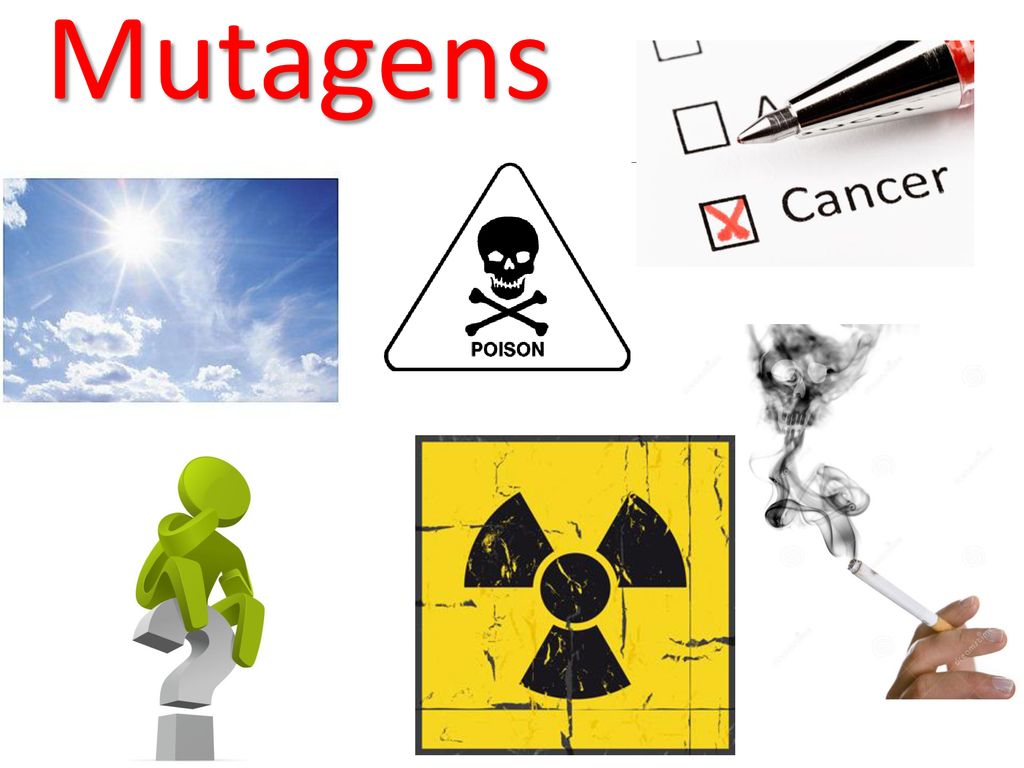 Mutagens Spontaneous mutations can occur during DNA replication, recombination, or repair.
