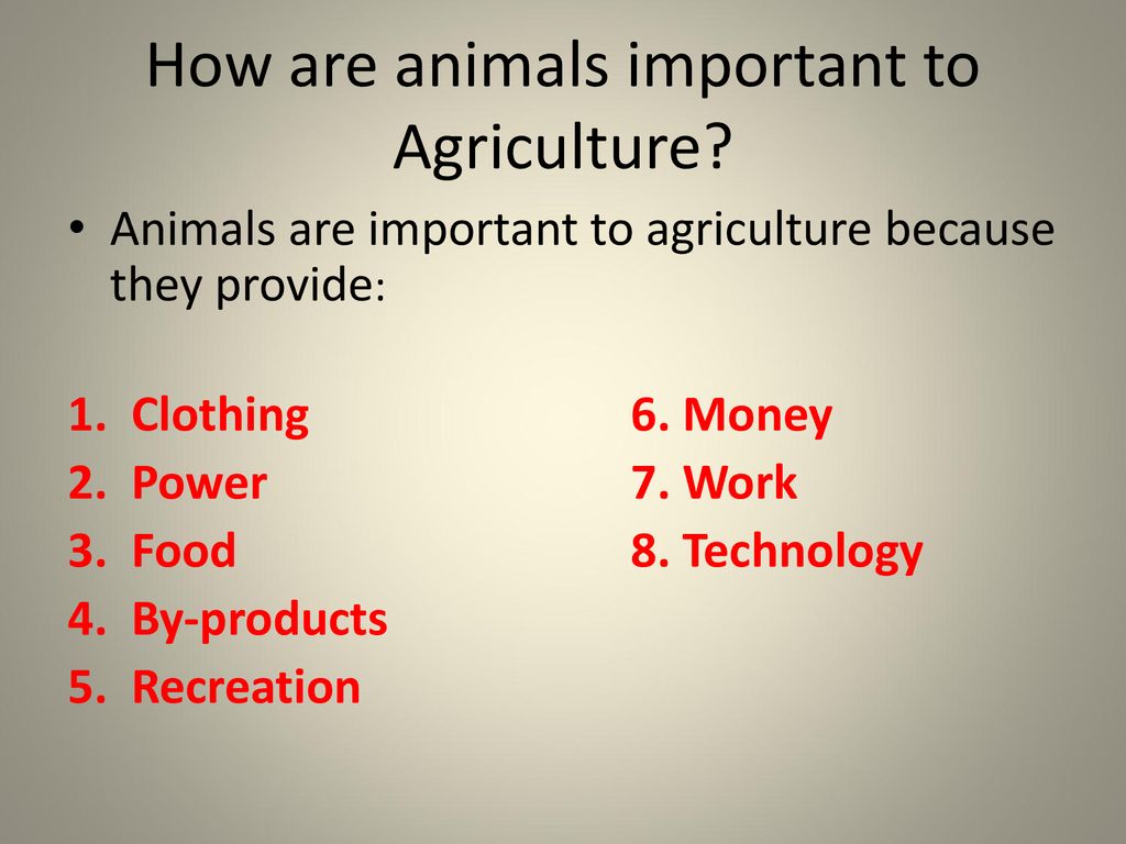Animal's Importance to Humans - ppt download