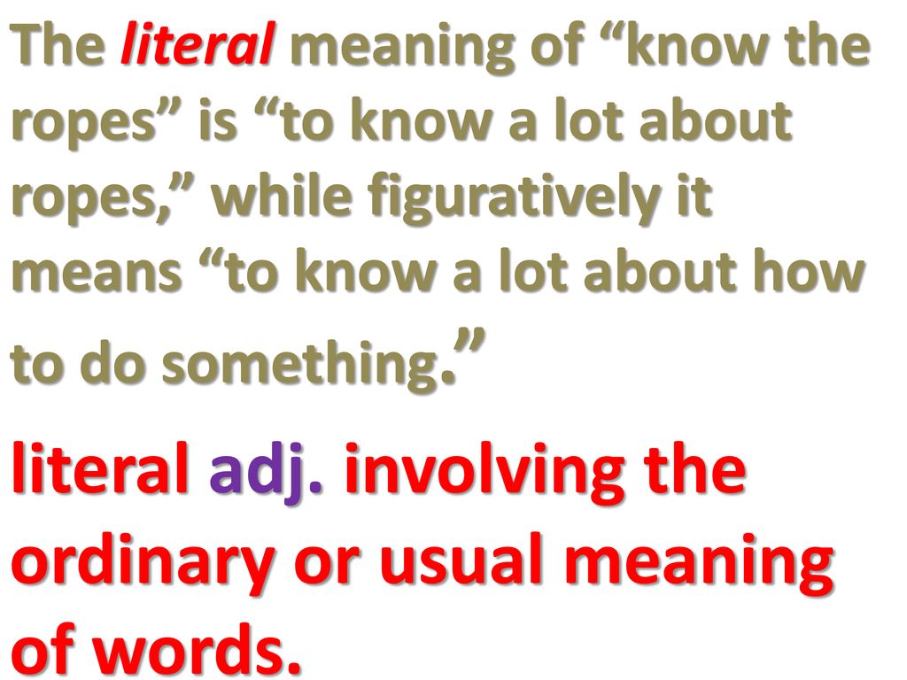 Vocabulary Week Ppt Download