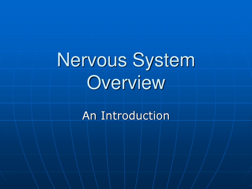 nervous-system-overview-ppt-download