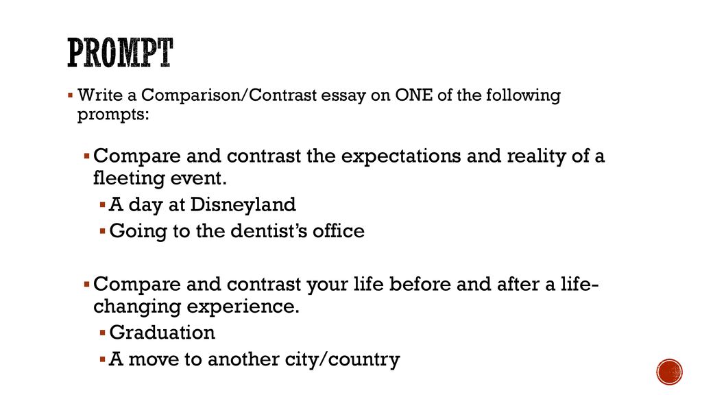 disneyland experience essay