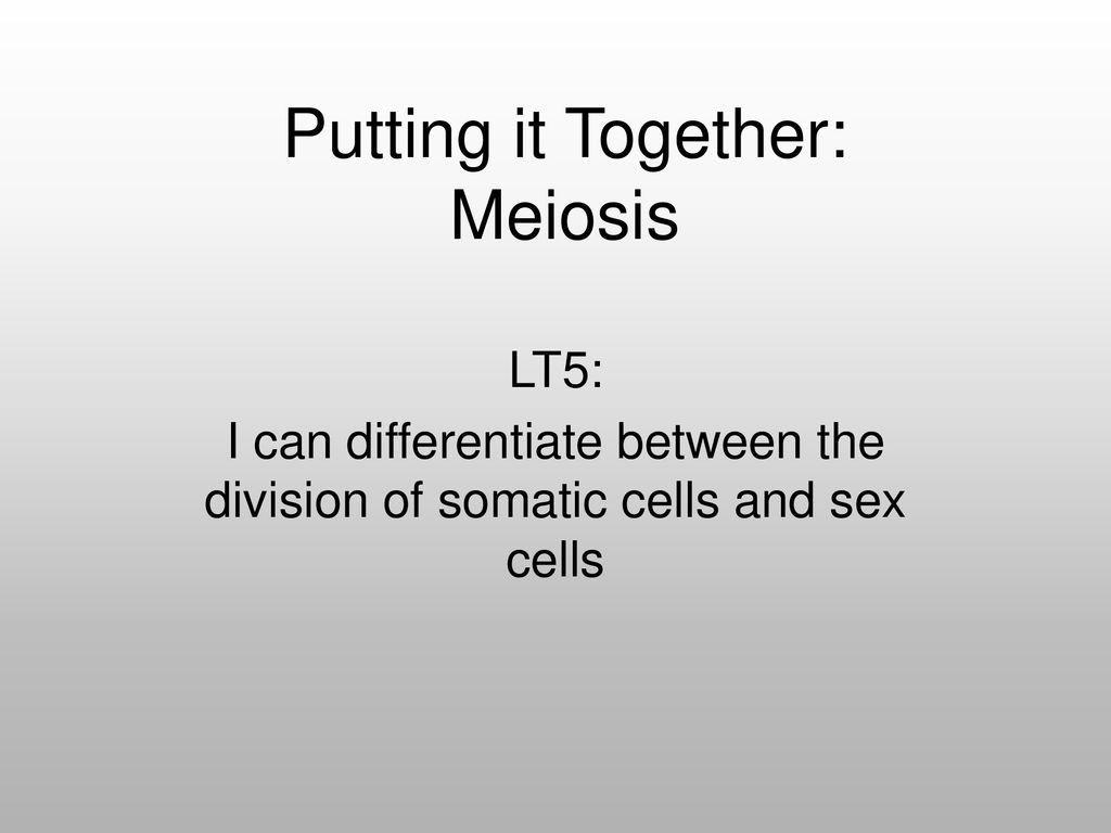 Mitosis And Cytokinesis Ppt Download