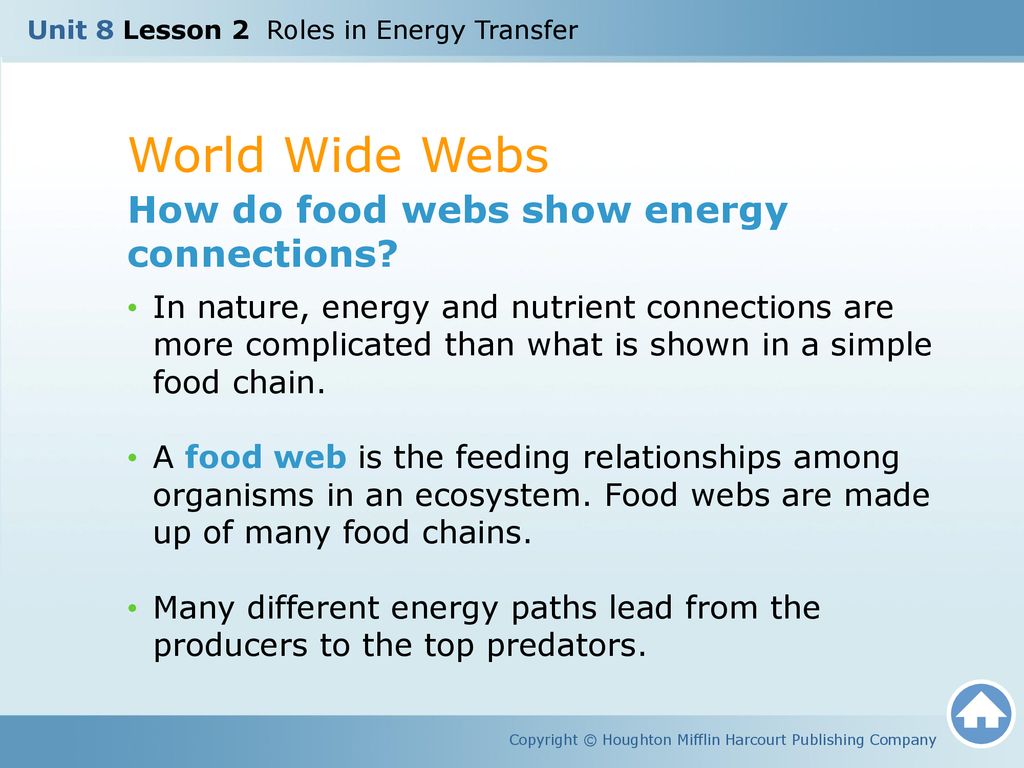 Get Energized How Do Organisms Get Energy Ppt Download get-energized-how-do-organisms-get-energy-ppt-download
