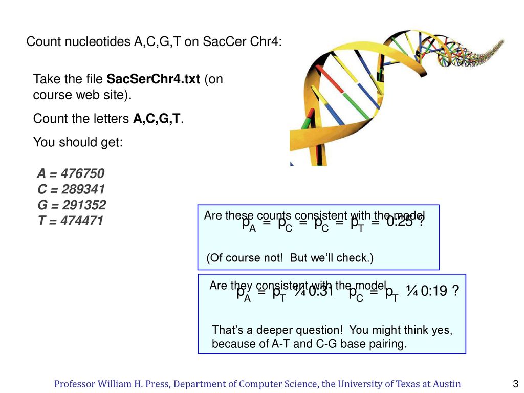 Opinionated Lessons 13 The Yeast Genome In Statistics By Bill Press Ppt Download