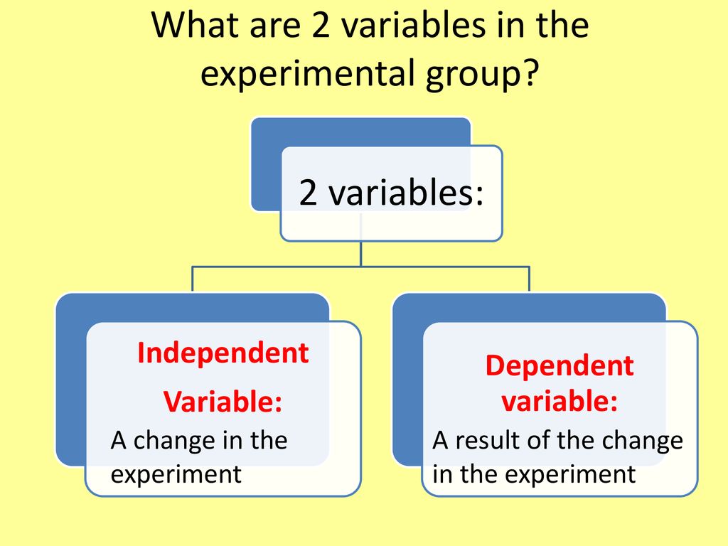 Scientific Method Questions and Answers. - ppt download