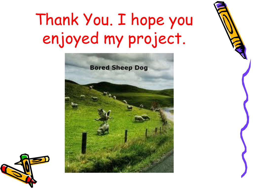 Thank You. I hope you enjoyed my project.