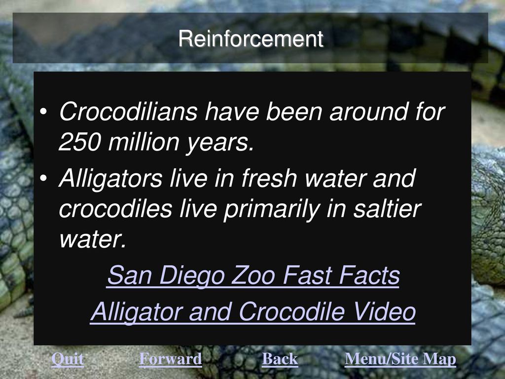 Crocodilians have been around for 250 million years.