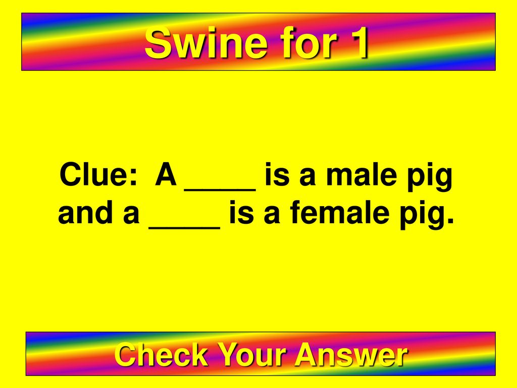 Ag in the Classroom Oklahoma Livestock Jeopardy ppt download