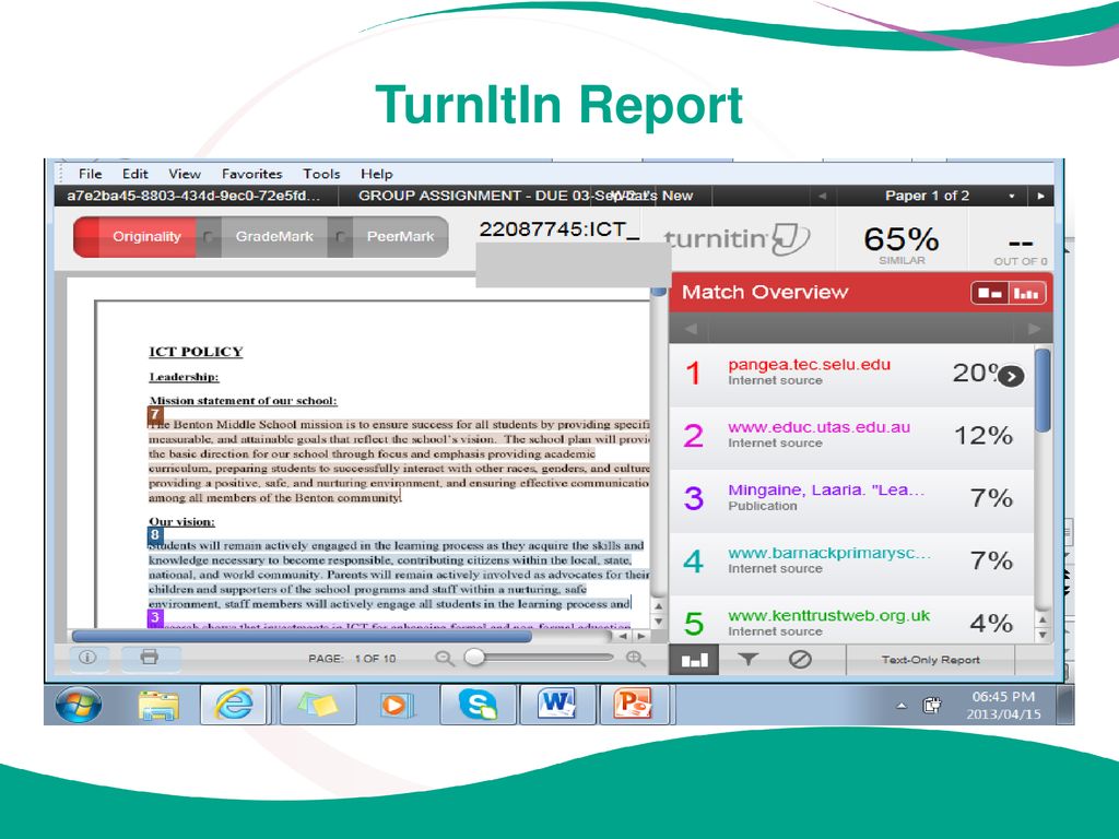 TurnItIn Report