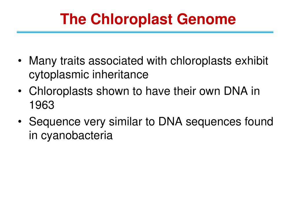 Chromosome Structure And Ppt Download 4513