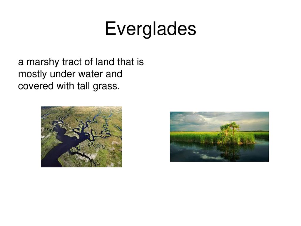 Everglades a marshy tract of land that is mostly under water and covered with tall grass.
