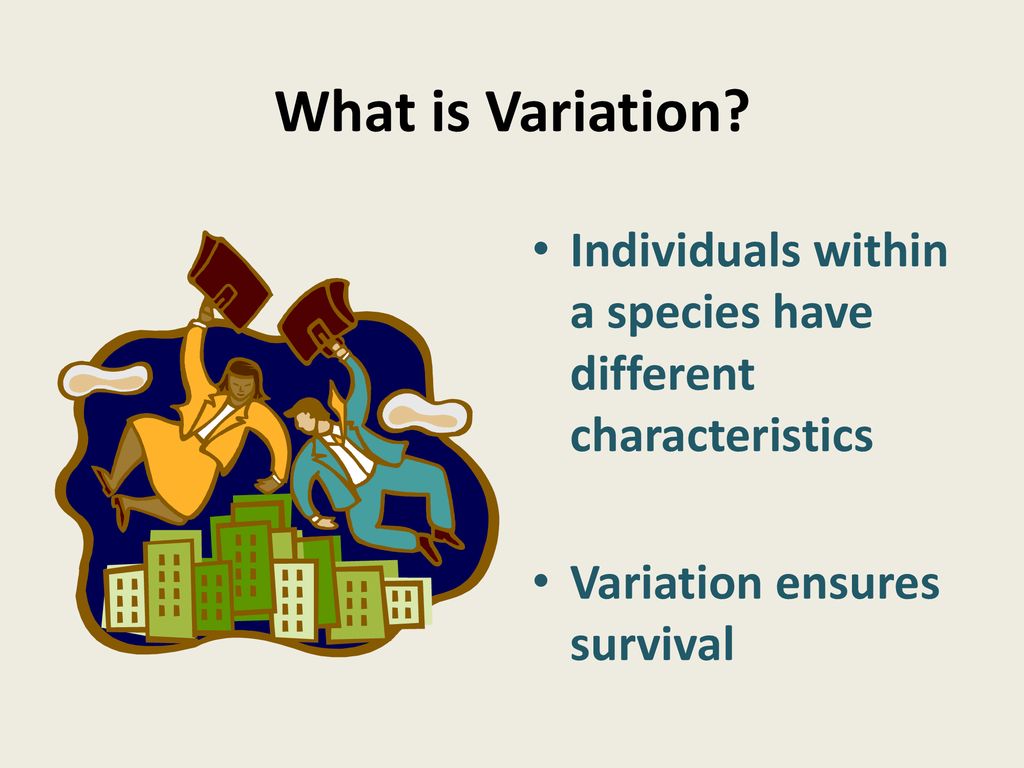 Inheritance and evolution - ppt download