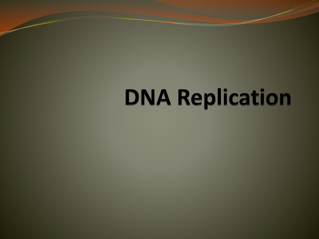 Dna Replication Ppt Download 2750