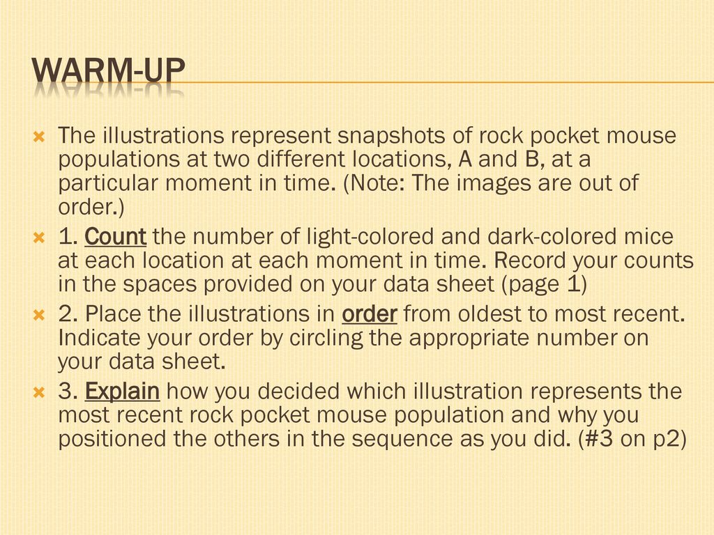Student Directions Pocket Mouse Analysis Ppt Download Student Directions Pocket Mouse Analysis Ppt Download