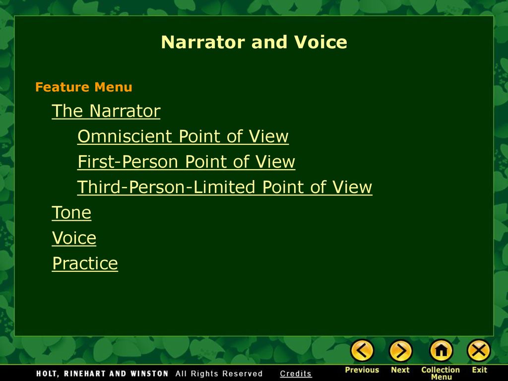 Narrator and Voice The Narrator Omniscient Point of View ppt download