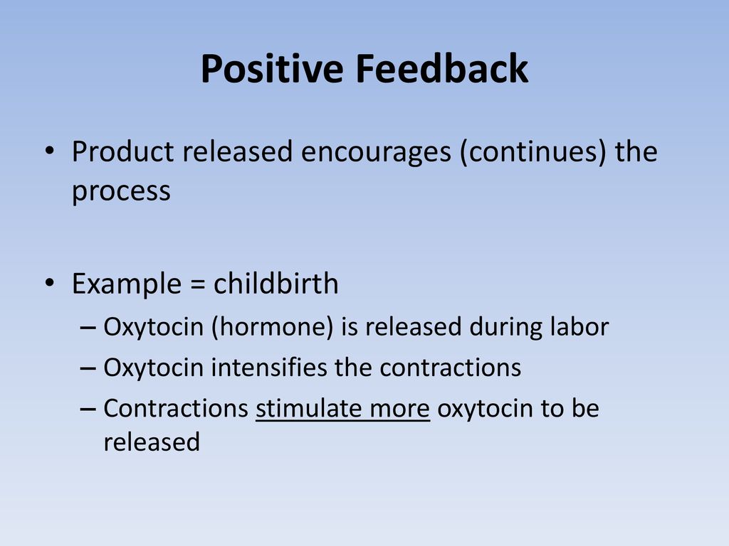 Endocrine Notes Biology ppt download