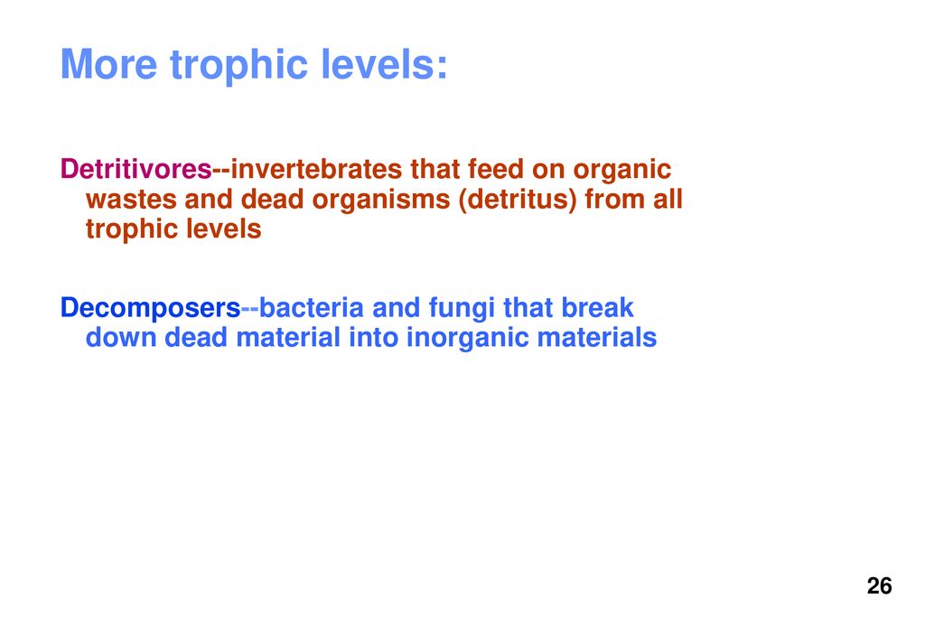 Energy flow in ecosystems Biology Diagrams
