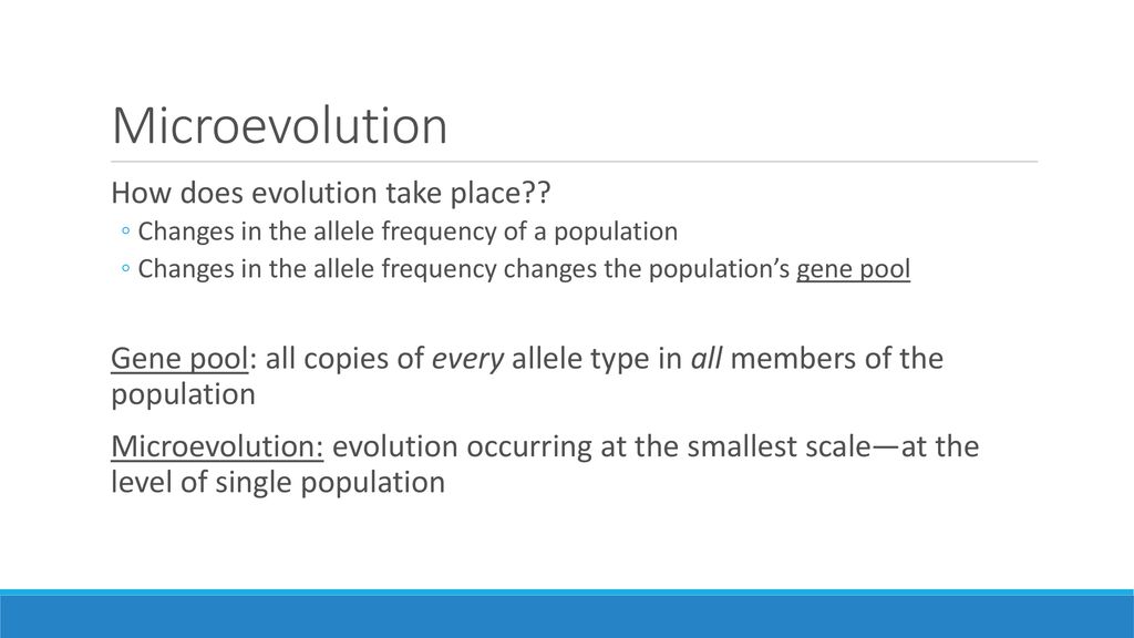 Natural Selection Microevolution Ppt Download