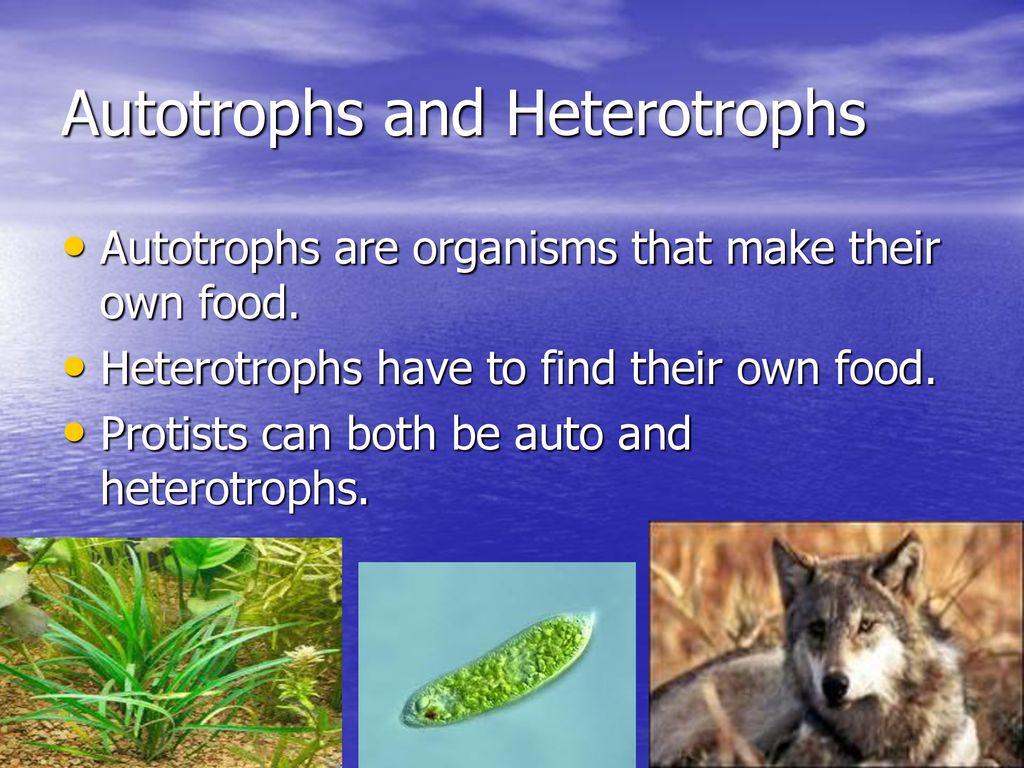 Science Vocab S7l1 By Derrick Jones. Biology Diagrams