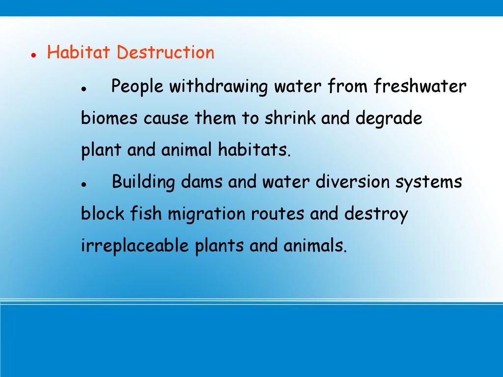 Marian Sanders October 7, 2013 G hour Biology Diagrams