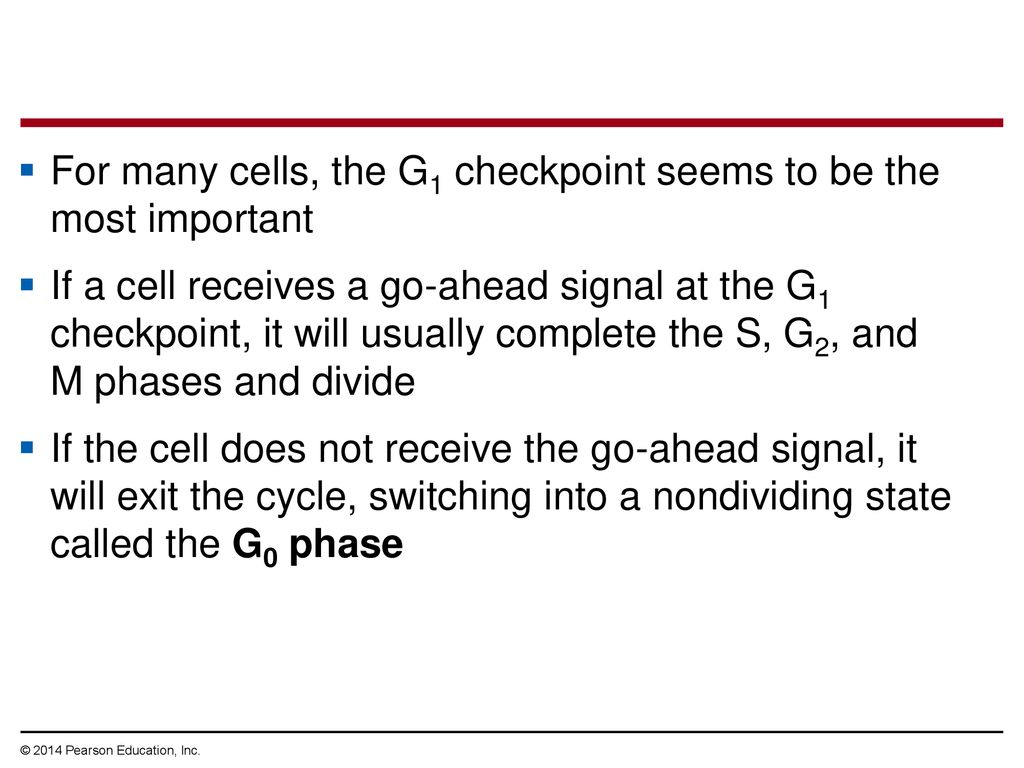 9 The Cell Cycle. Biology Diagrams