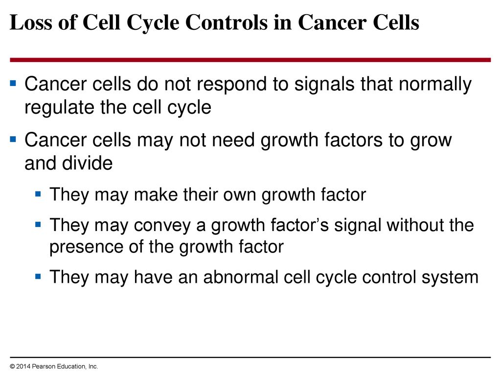 9 The Cell Cycle. Biology Diagrams