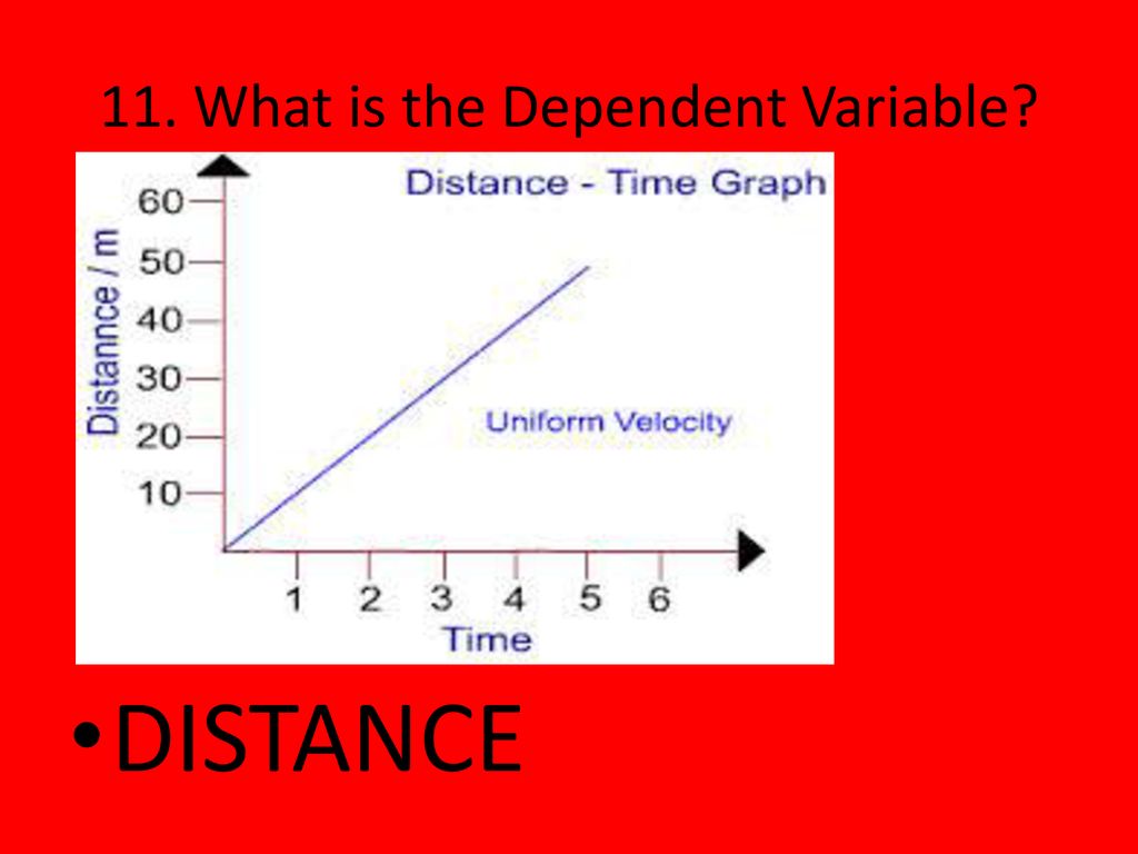 11. What is the Dependent Variable